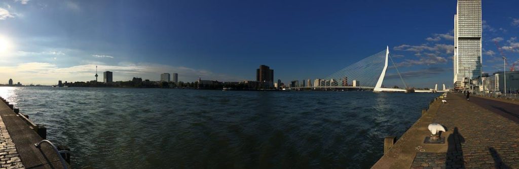 Rotterdam skyline met Erasmusbrug en moderne architectuur aan de Maas. Ontdek Rotterdam met unieke uitjes zoals de Spido rond