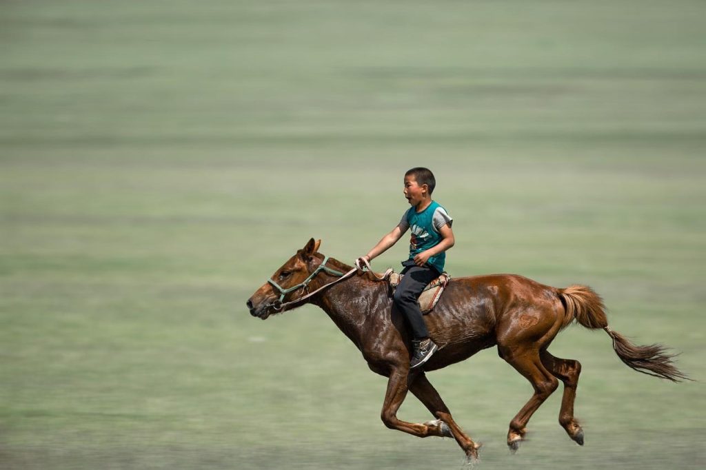 Manege in Hoogeveen met binnen- en buitenrijbanen waar ruiters van alle niveaus trainen en lessen volgen